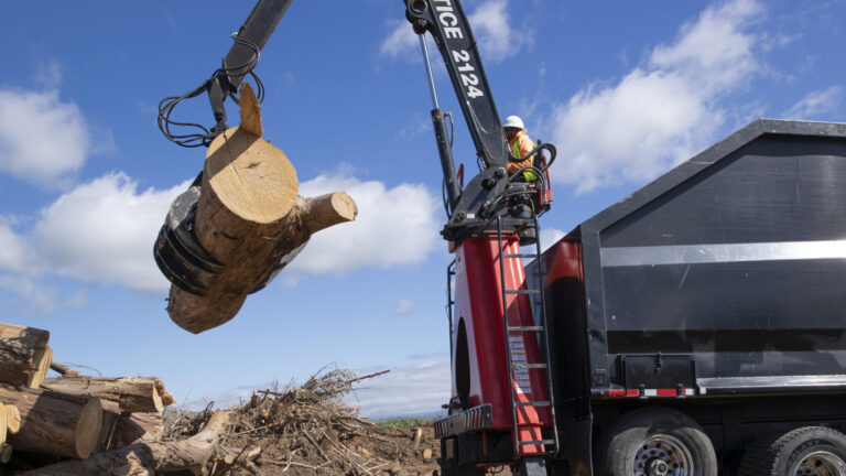 Wilhelm Tree Services Wood Management Equipment and Operations